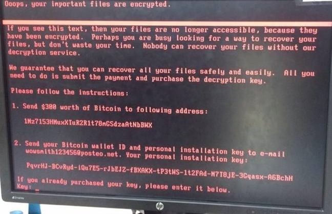 petya_screenshot.jpg