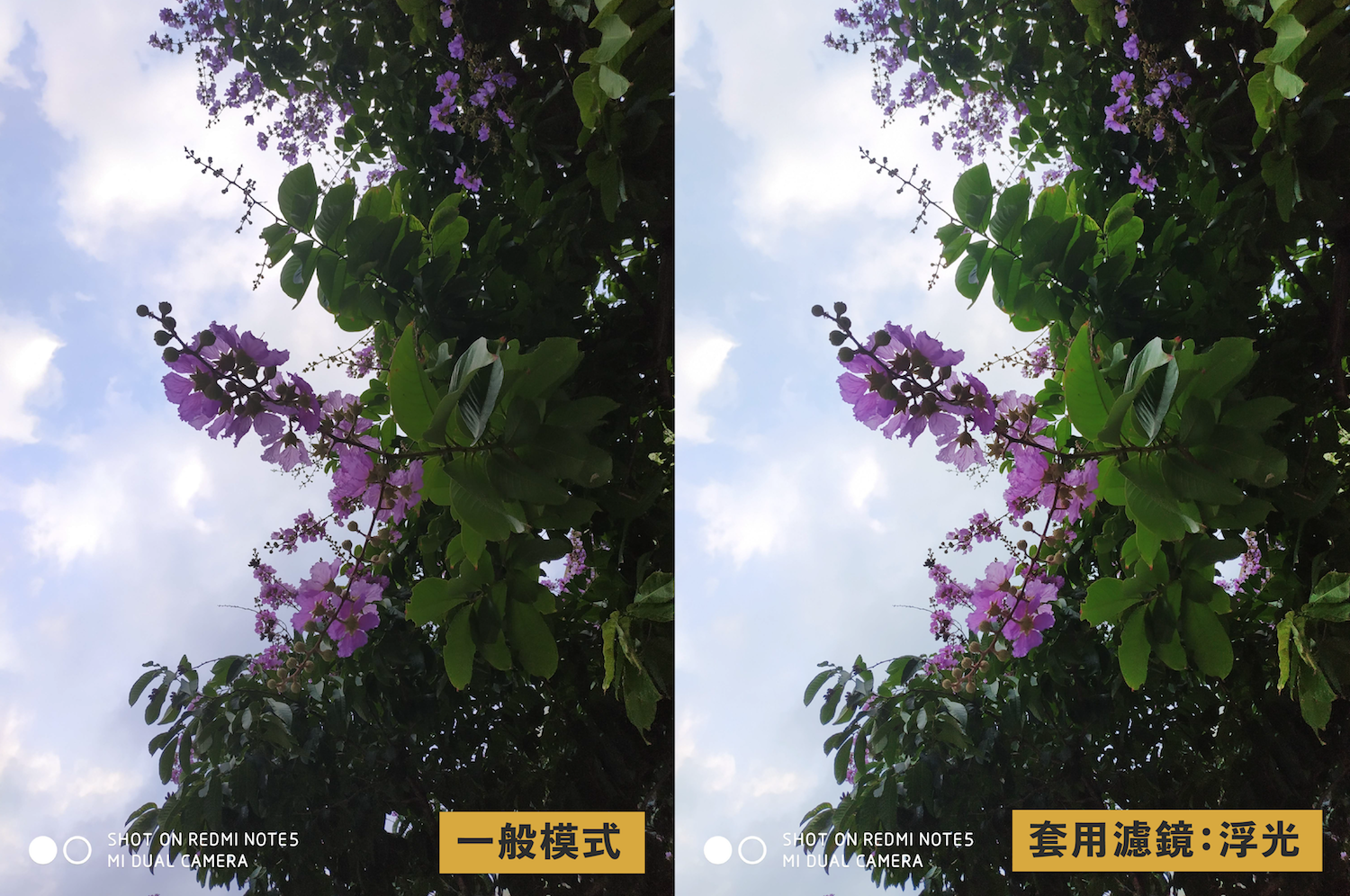 紅米 Note 5 入手評測：一拍上癮，衝破「千元機」極限拍照體驗 02