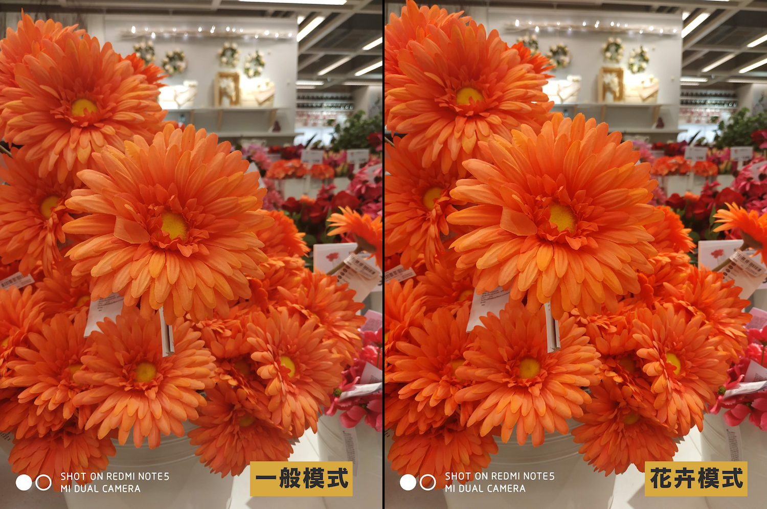 紅米 Note 5 入手評測：一拍上癮，衝破「千元機」極限拍照體驗 mi15555555