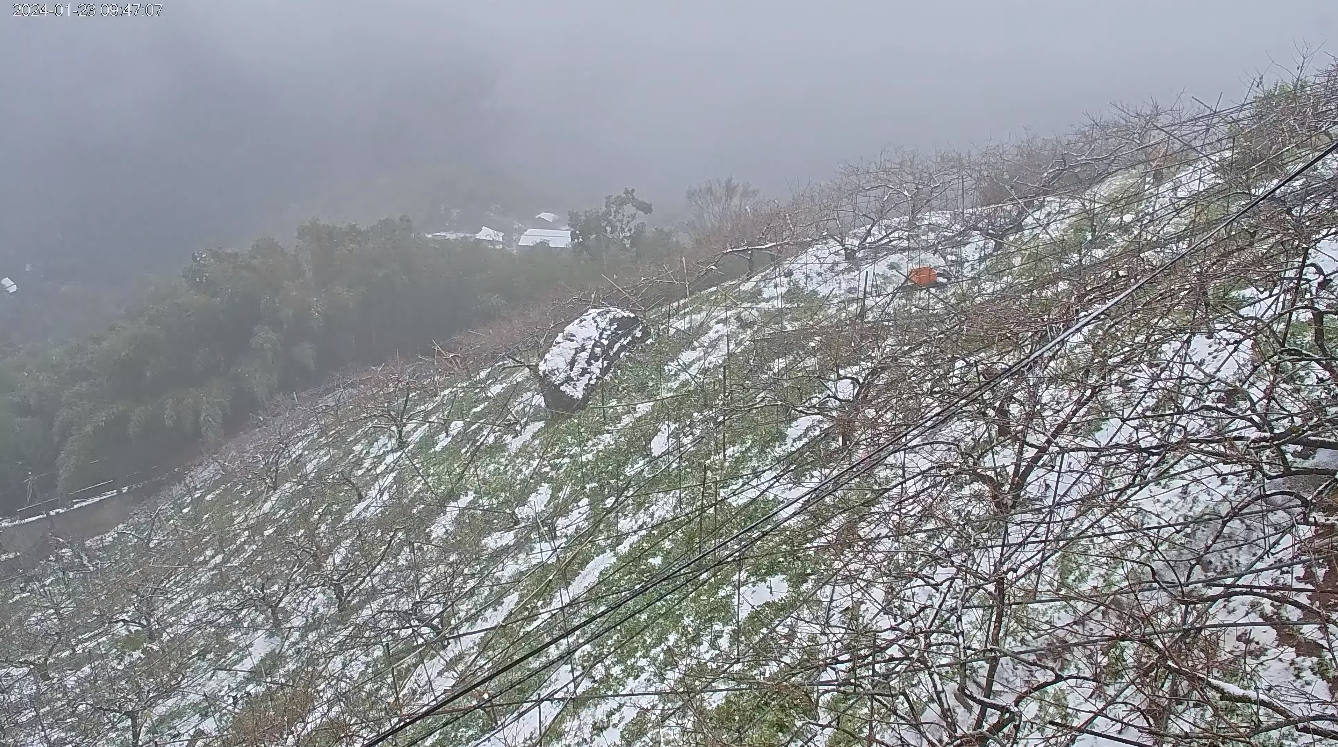陽明山下雪了!全台降雪實況直播總整理 image-34 陽明山下雪了!全台降雪實況直播總整理 image-34
