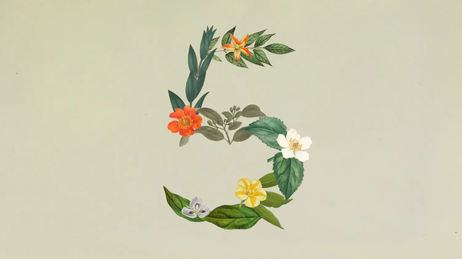 Anthropic 發布 Claude Sonnet 5，性能更接近 Opus 4.8